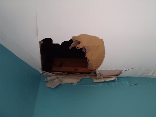 What happens when you choose Garrison Roofing to repair the leak in your roof. Corner wall & ceiling ruined.