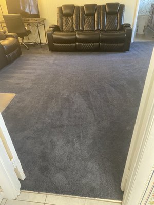 Royal blue wall-to-wall carpet in the family room