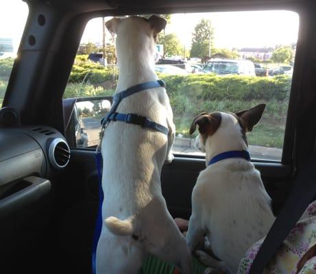 Giacomo and Charlie on their way to work