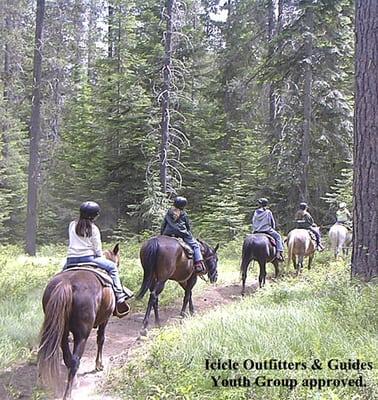 Guided Trail Rides are youth group approved.