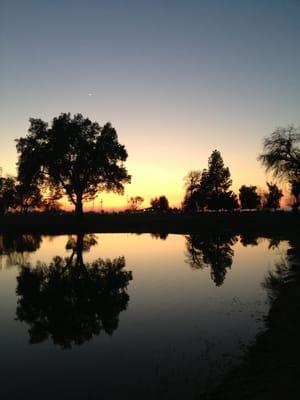 View of club house at dusk, across the pond.