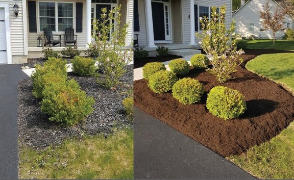 Amazing mulching job