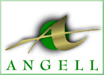 Angell Pension Group