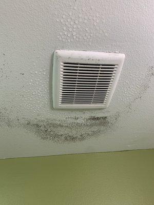 Mold in bathroom