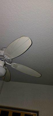 The filthy dust on all the ceiling fans, wood furniture,  headboards,  all over condo.