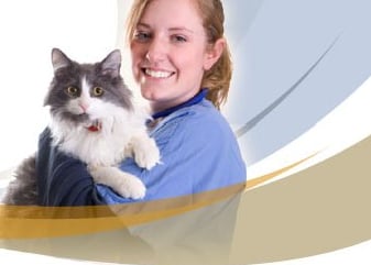 Neuse River Veterinary Hospital