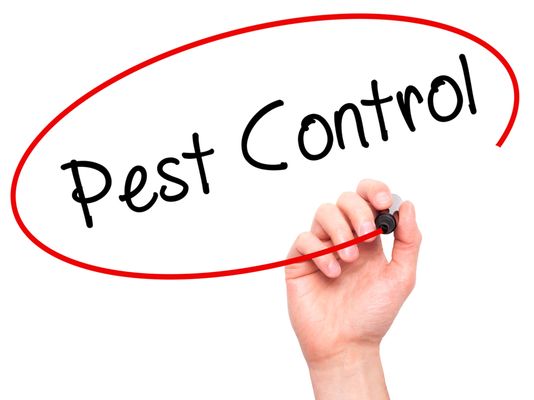 First Watch Pest Control of Westchester County, NY