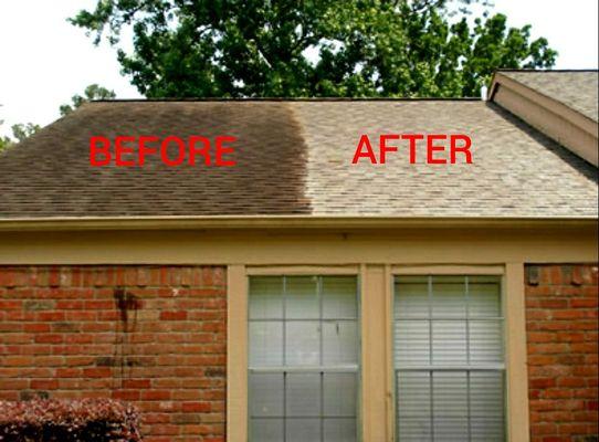 Roof cleaning