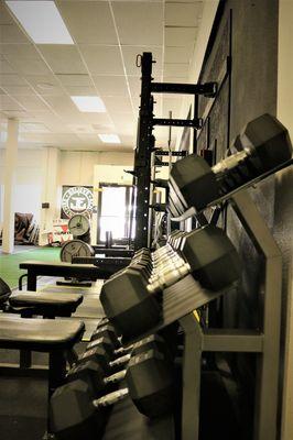 We have a free weight area for dumbbell exercises