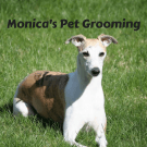 Monica's Pet Grooming