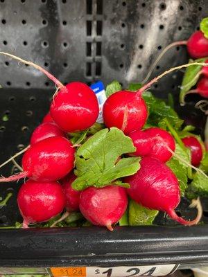 Radishes