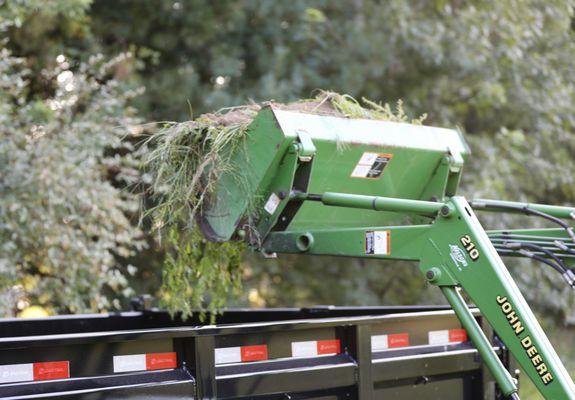 hauling out some sod from a small yard tune up