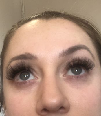 6D Volume Lashes