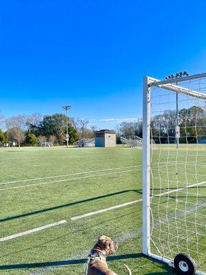 Soccer Field