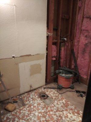 Before photo. 1970's condo bathroom.