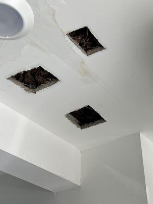 Water dripping out of holes cut in the ceiling of the garage.