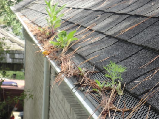 Gutter cleaning