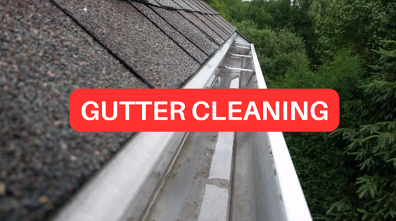 Gutter Cleaning