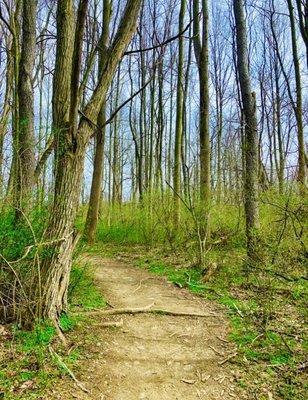 Harmony Hill Nature Area