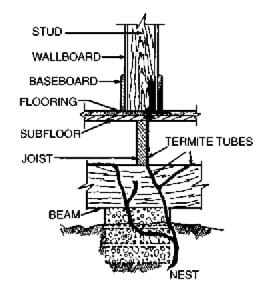 Subterranean