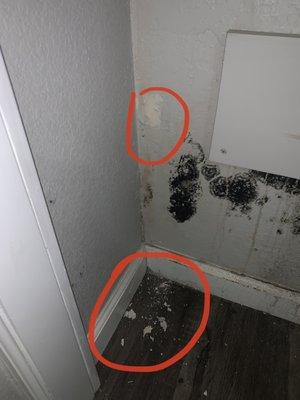 wall breaking due to mold