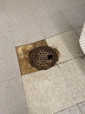 Rusted drain cover in laundry room that is not secured to the floor.