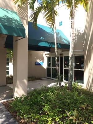 Front door under the palm trees