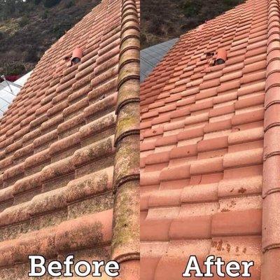 Roof cleaning