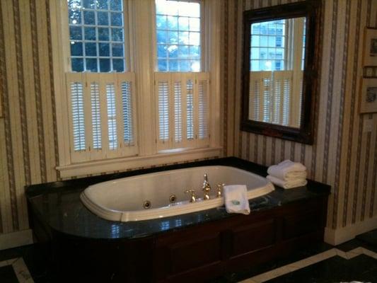 Master suite bathroom tub