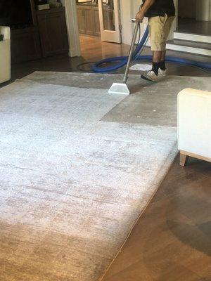 Rug cleaning (wool, synthetic, viscose, odor removal etc.)