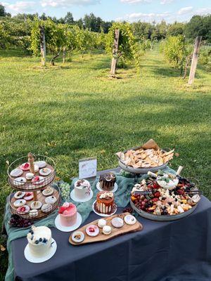 Winery glam picnic experience