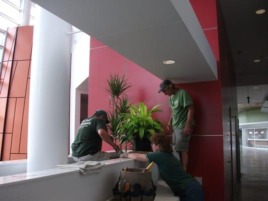 Interior Plants at Michigan State University.