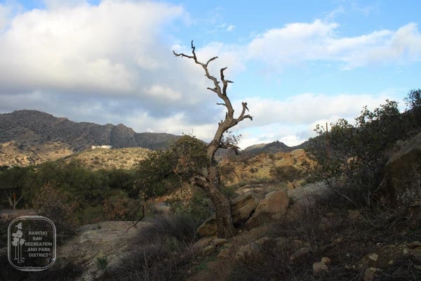 Rocky Pointe Natural Park