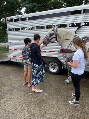 The Grandkids saying hi to the horse.