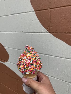 Kiddie cone