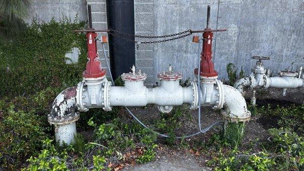 Tongate Backflow