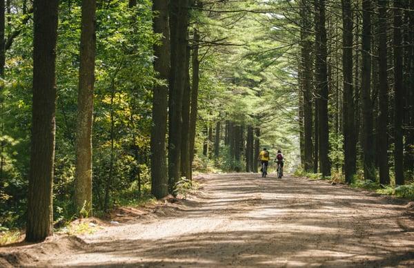 Old Sandwich Road, the nation's oldest unpaved road in continuous use.