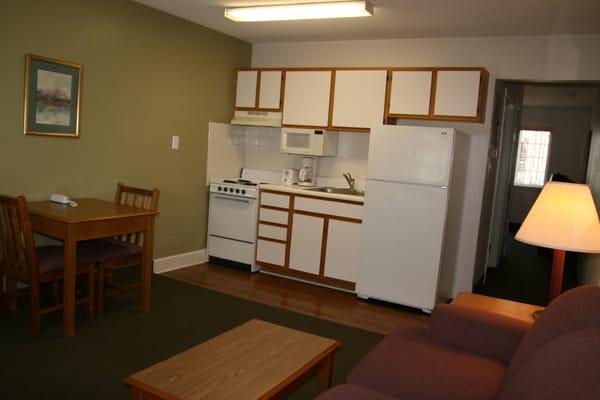 Picture of the living area and kitchen.  The bedroom is a separate room.