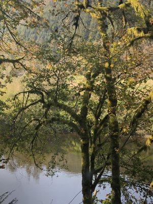 Oregon Coast Scenic Railroad