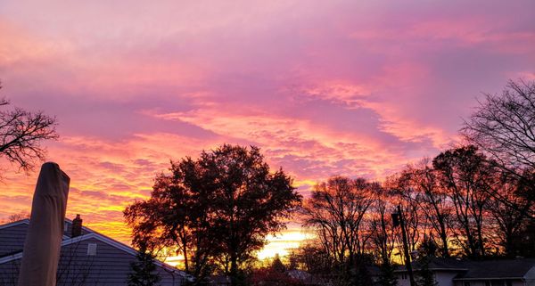 Sunset outside my back door. 11/24/2019