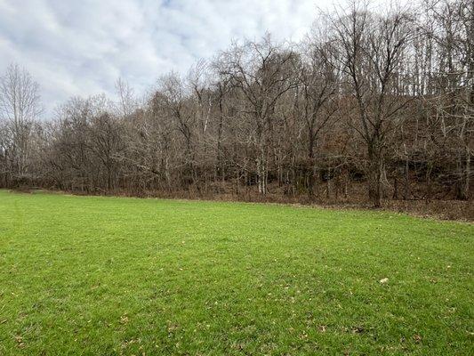 Food Plot in Olive Hill, TN