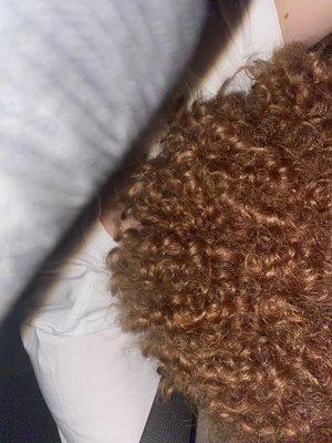 this was my hair before with a bit of damage my hair is much curlier but that was my curl pattern when I went in.