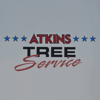 Dave Atkins Your True Tree Professional