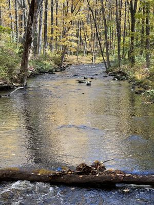 Ward Pound Ridge Reservation