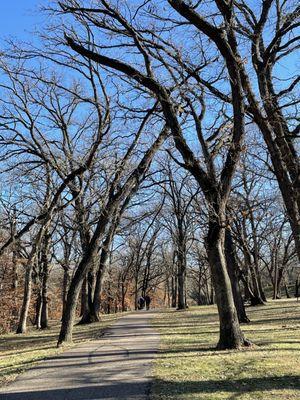 An awesome (dog-friendly)moderate 3 mile walk around the lake and through the towering oak. Adjacent dog park is also great!