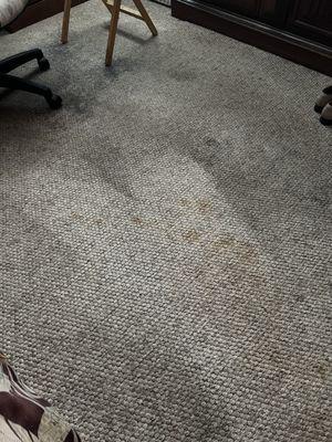 Alex's Janitorial and Carpet Cleaning