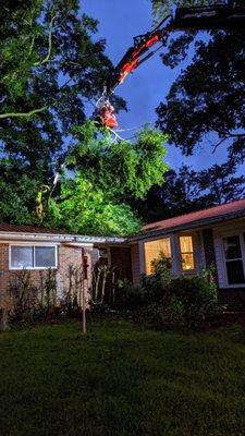 770 Arborist Emergency Tree & Crane Service