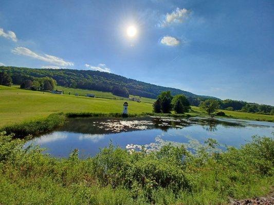 The Cooperstown and Charlotte Valley Railroad