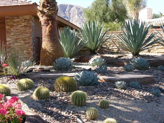 Desert Landscaping at it's Best!