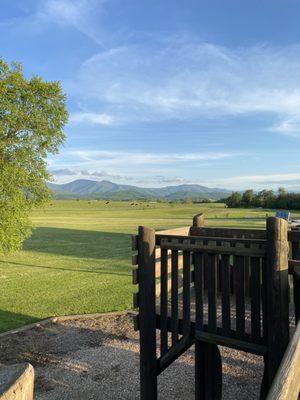 Cows and mountains in the distance.